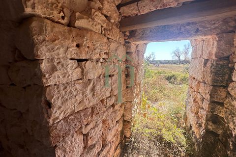 Ruinere i Carovigno, Brindisi, Carovigno - € 385.000 | Ref: Proprietà Pinea - foto 13